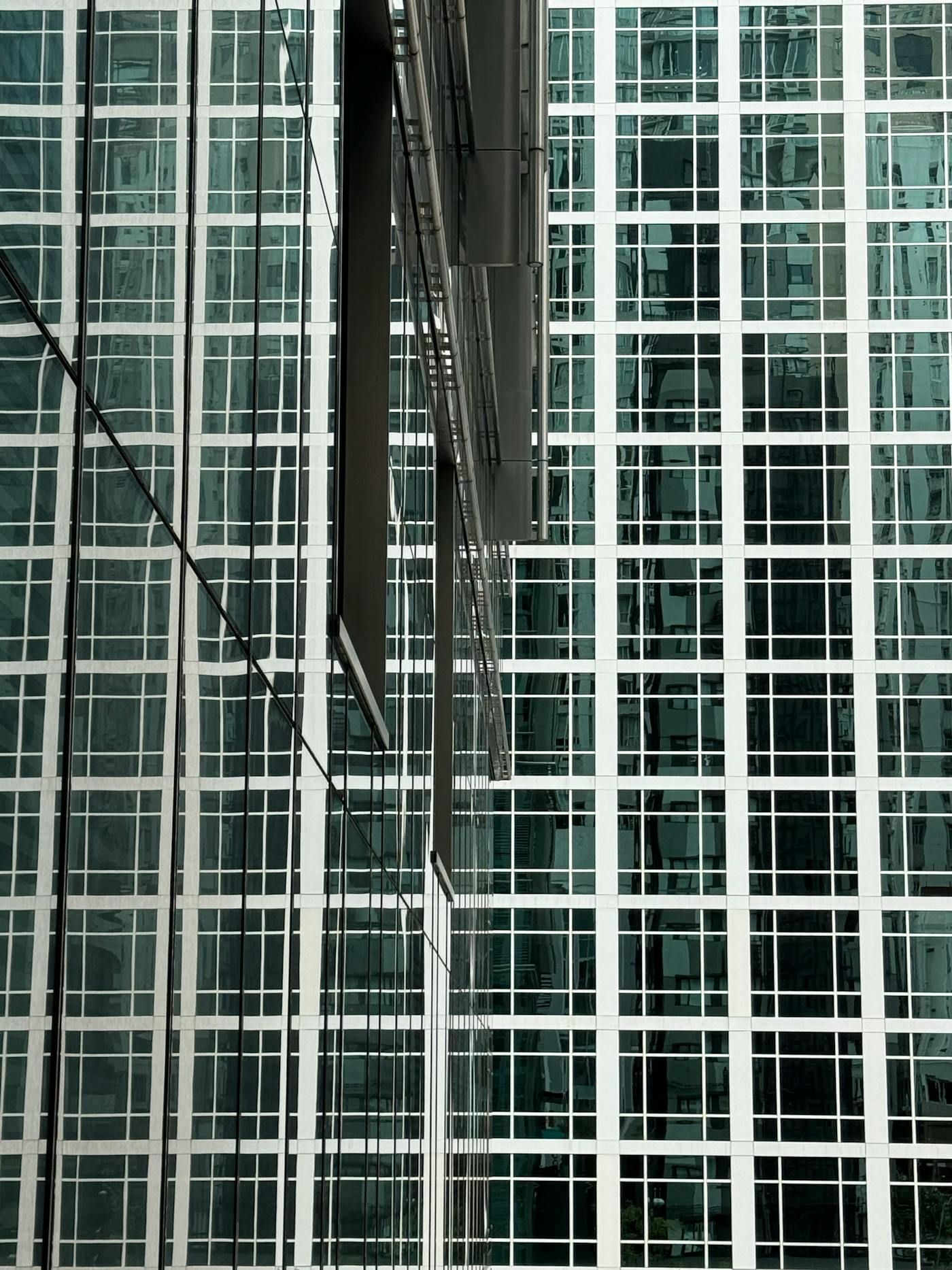 Montage einer Fensterfolie an einer Glasfassade